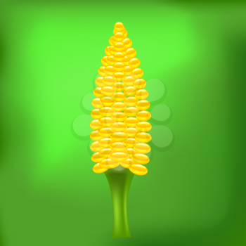 Yellow Cob Corn on Abstract Green Light Background