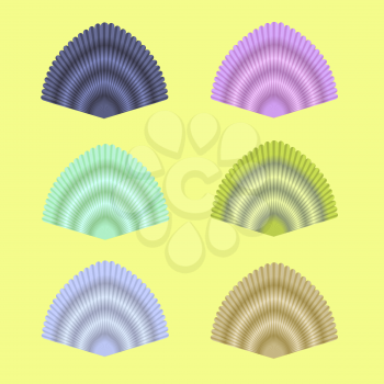 Exotic Seashell Collection Isolated on Yellow Background
