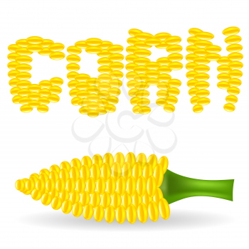 Yellow Cob Corn Isolated on White Background