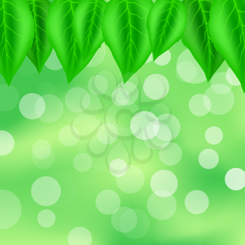 Spring Green Leaves Pattern. Green Blurred Background with Leaves