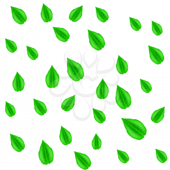 Spring Green Leaves Pattern Isolated on White Background