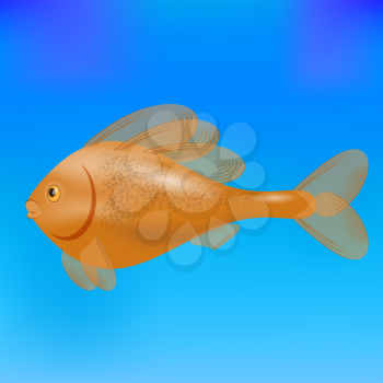 Red Cute Sea Fish Isolated on Blue Water Background.