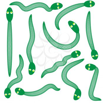 Set of Green Snakes Isolated on White Background