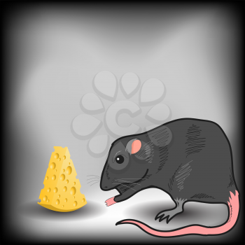 Rat and Piece of Cheese on Grey Background