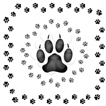 Animal Paw Prints Isolated on White Background