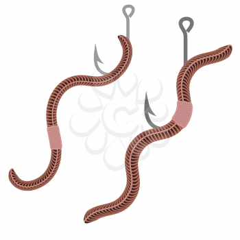 Animal Earth Red Worms for Fishing Isolated on White Background