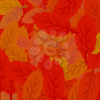 Autumn Leaves Background. Set of Red and Orange Leaves