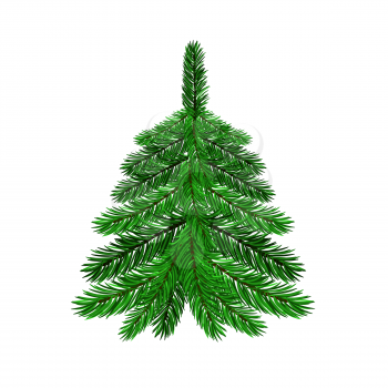 Green Fir Isolated on White Background. Symbol of Christmas