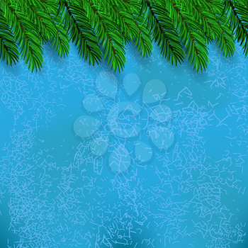 Green Fir Branch on Blue Ice Grunge Background