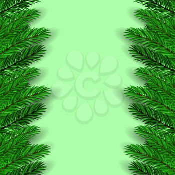 Green Fir Branches on Green Background. Christmas Background