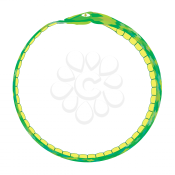 Green Snake Isolated on White Background. Poisonous Reptile. Snake Arched to Form a Circle