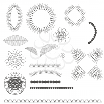 Set of  Floral Graphic Design Elements Isolated on White Background.