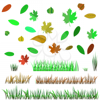 Autumn Leaves and Autumn Grass Isolated on White Background