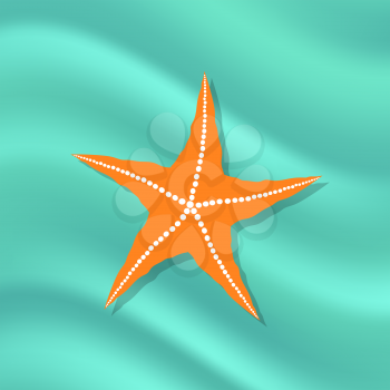 Plenty of Cushion Starfish on a  Ocean Floor. Caribbean Starfish on Azure  Background