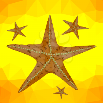 Plenty of Cushion Starfish on a Sandy Ocean Floor. Caribbean Starfish on a Yellow Polygonal Background