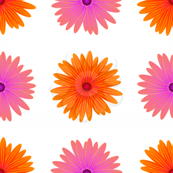 Spring Pink Orange Flowers Isolated on White Background. Seamless Flower Pattern