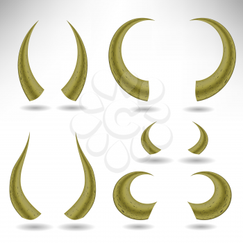 Animal Horns Isolated on White Background. Bull Horns