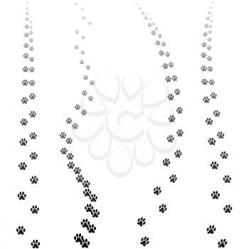 Paw Prints Silhouettes Isolated on White Background