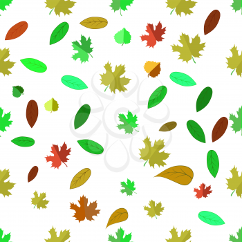 Autumn Leaves  Isolated on White Background. Seamless Different Leaves Pattern