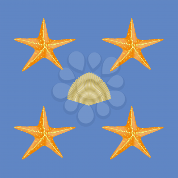 Exotic Seashell Seamless Pattern on Blue Background