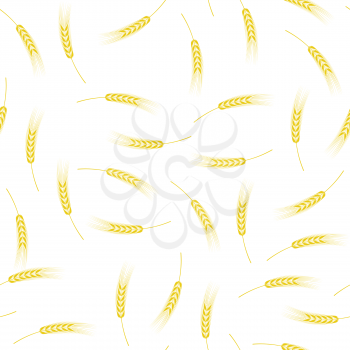 Yellow Ears of Wheat Seamless Pattern on White. Baking Background.