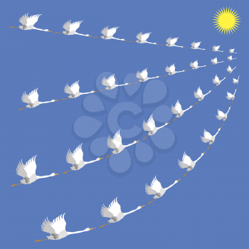 Flock of White Geese. Wild Birds Fly on Blue Heaven Background. Seasonal Migration to Warmer Climes