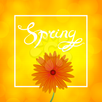 Spring  Lettering Design. Orange Flower Banner with Yellow Blurred Background and Text in Square Frame.