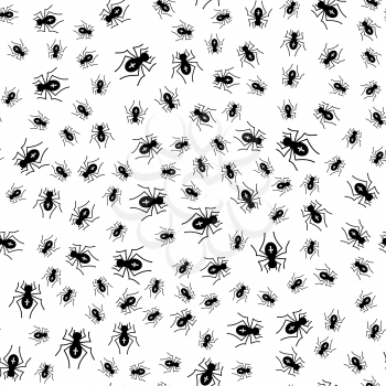 Poisonous Spider Seamless Pattern on White Background