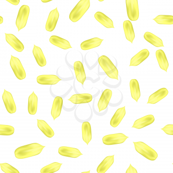 Ripe Peeled Fried Seeds of Sunflower Seamless Pattern Isolated on White Background