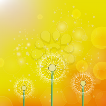 Spring Dandelion on Blurred Yellow Orange Sun Background