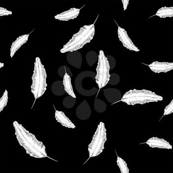 White Feather Seamless Pattern on Black Background