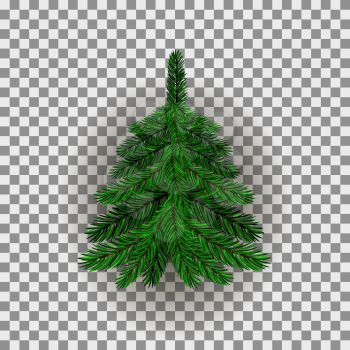 Green Christmas Fir Spruce Tree on Checkered Background