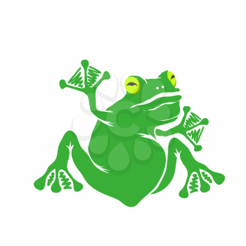 Green Cartoon Frog Isolated on White Background