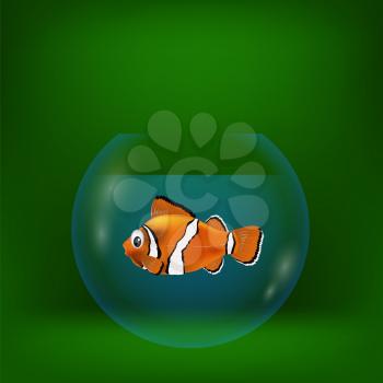 colorful illustration with sea clown fish on a green background