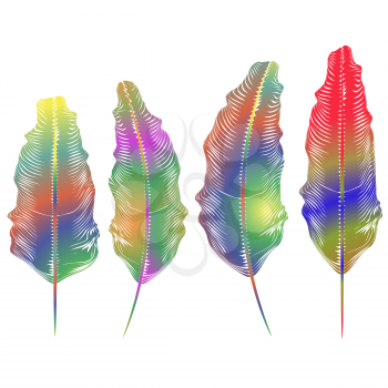 Set of Different Colorful Feathers Isolated on White Background