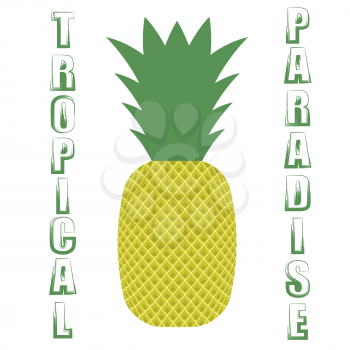 Pineapple Icon on White  Background. Vintage Fruit Poster, Banner, Logo or Label  with Lettering