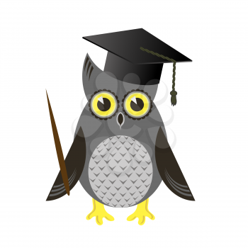 Cute Owl Bird with Graduation Cap Isolated on White Background