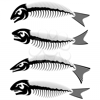 Fish Bone Skeleton Set Symbol Isolated on White Background. Sea Fishes Icons.