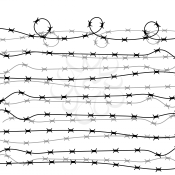 Barbed Wire Fence on White Background. Stylized Prison Concept. Symbol of Not Freedom.