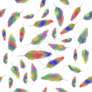 Set of Different Colorful Feathers Seamless Pattern Isolated on White Background.