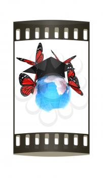 Global Education with red butterflies isolated on white background. The film strip