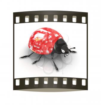 Ladybird on a white background. The film strip