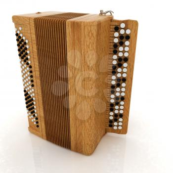 Musical instrument - retro bayan
