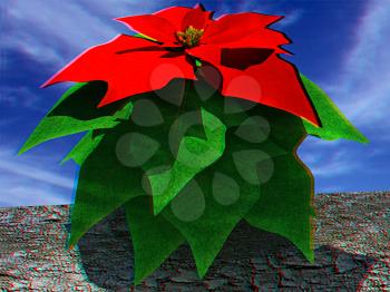 Beautiful poinsettia Flower against the sky. Anaglyph. View with red/cyan glasses to see in 3D. 3D illustration