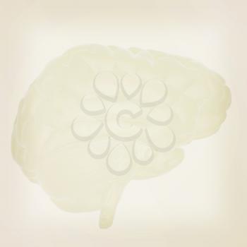 3D illustration of human brain