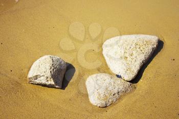 Trinity stones on seashore at sun - sand, stone and relaxation