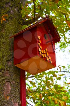 birdhouse on the tree