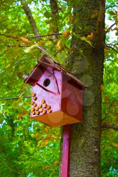birdhouse on the tree