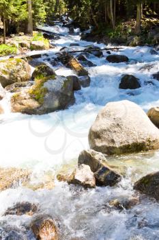 Photo of river in Caucasus mountains in summer