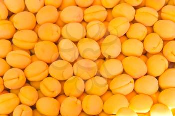 Photo of background yellow ripe appetizing apricots